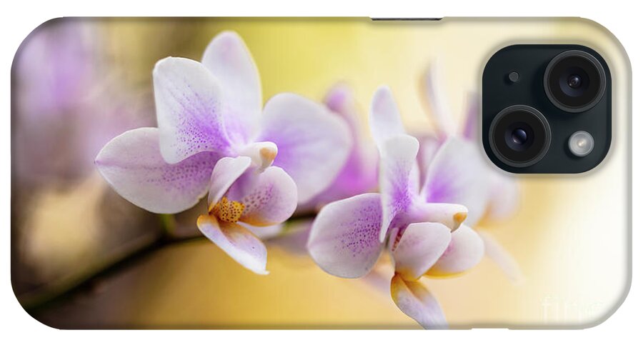 Background iPhone Case featuring the photograph Purple Orchid Flowers #11 by Raul Rodriguez