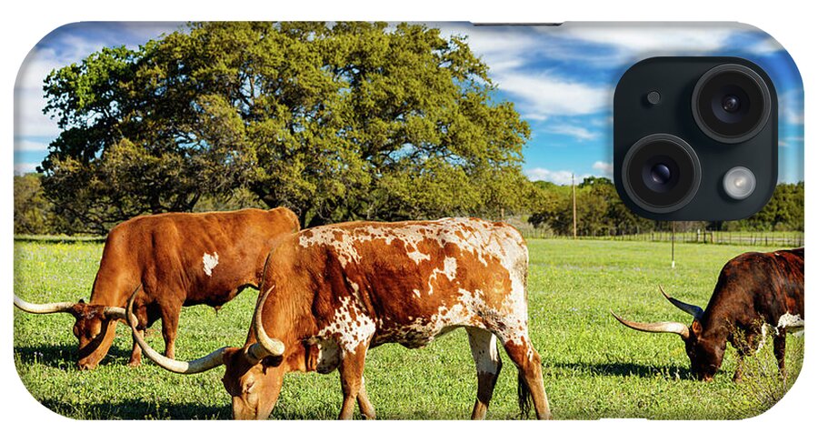 African Breed iPhone Case featuring the photograph Texas Hill Country #11 by Raul Rodriguez