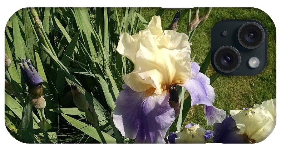 Bearded Iris iPhone Case featuring the mixed media Bearded Iris #19 by Anthony Seeker