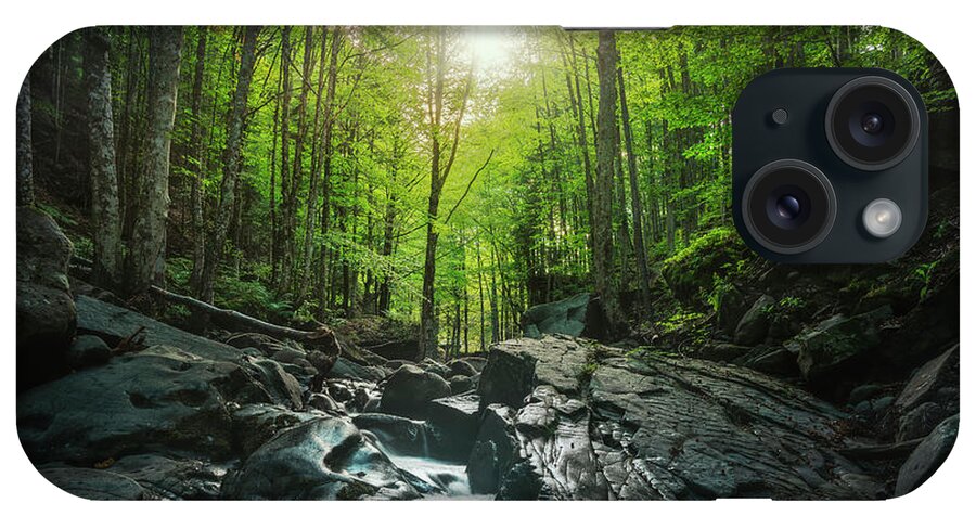Waterfall iPhone Case featuring the photograph Stream inside a forest. Abetone, Tuscany by Stefano Orazzini