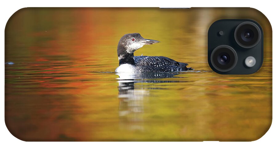 Autumn iPhone Case featuring the photograph Autumn Loon by Brook Burling
