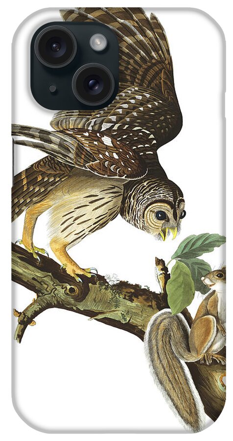 Barred Owl iPhone Case featuring the painting Barred Owl #2 by Alexander Ivanov