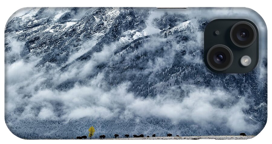 Wy iPhone Case featuring the photograph Bison, Grand Teton NP #3 by Doug Wittrock