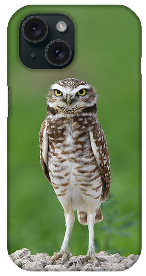 Burrowing Owl iPhone Case featuring the digital art Burrowing Owl #2 by Tammy Keyes