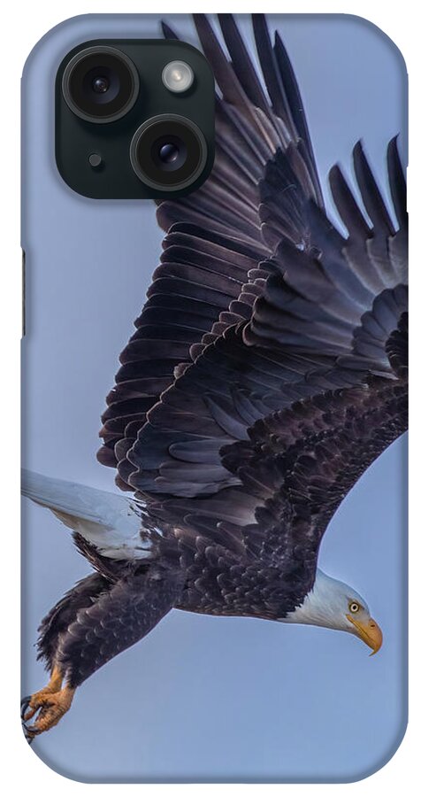 Eagle iPhone Case featuring the photograph Eagle Portrait by Randy Robbins