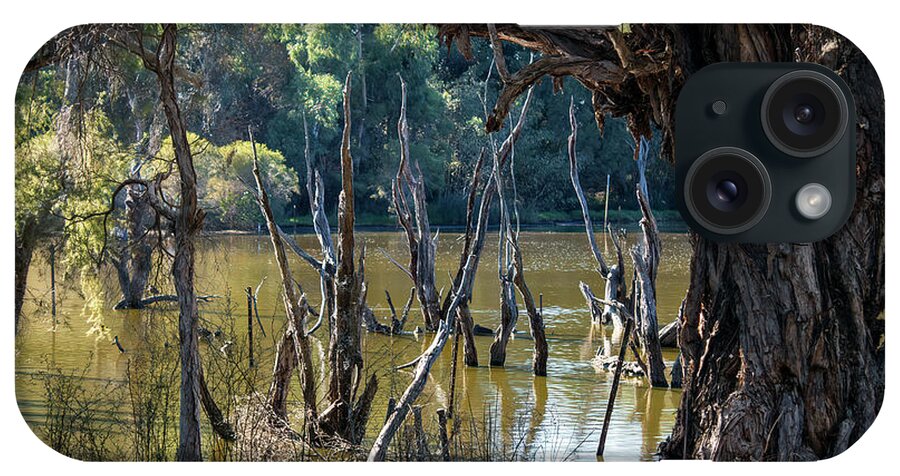 Trees iPhone Case featuring the photograph Eric Singleton Bird Sanctuary, Bayswater, Western Australia #2 by Elaine Teague