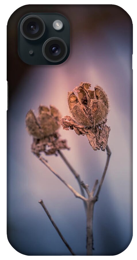 Faded iPhone Case featuring the photograph Faded Beauty #2 by Allin Sorenson
