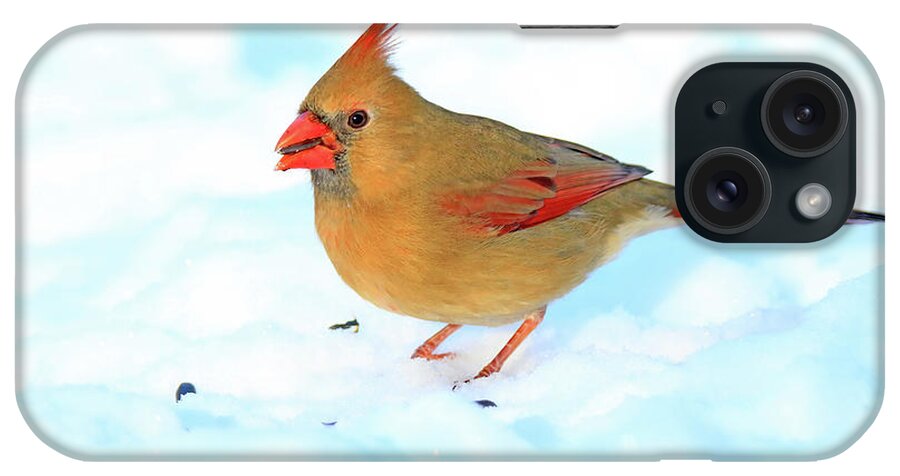 Northern Cardinal iPhone Case featuring the photograph Female Northern Cardinal #2 by Shixing Wen