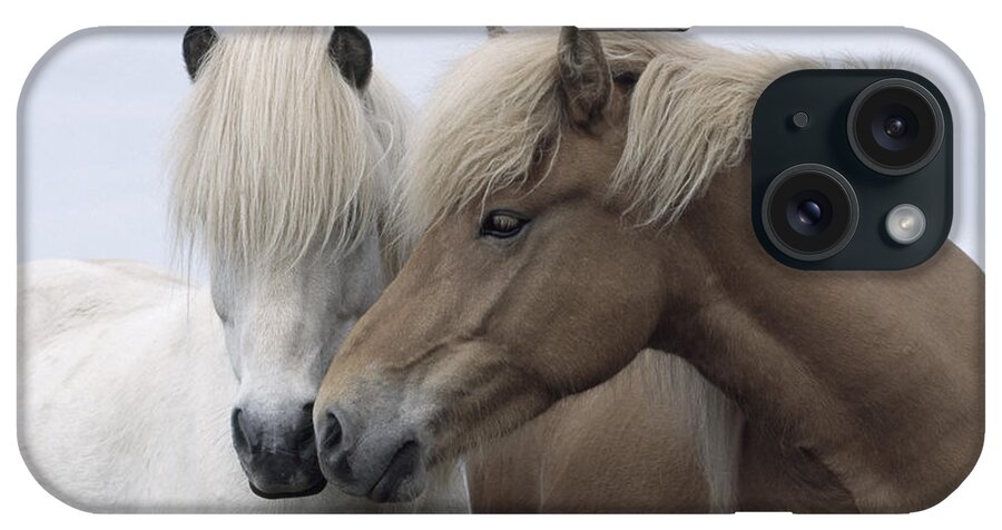 Affection iPhone 15 Case featuring the photograph Icelandic Horses by John Daniels