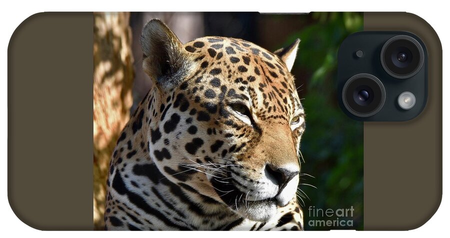 Leopard iPhone Case featuring the digital art Leopard #2 by Tammy Keyes