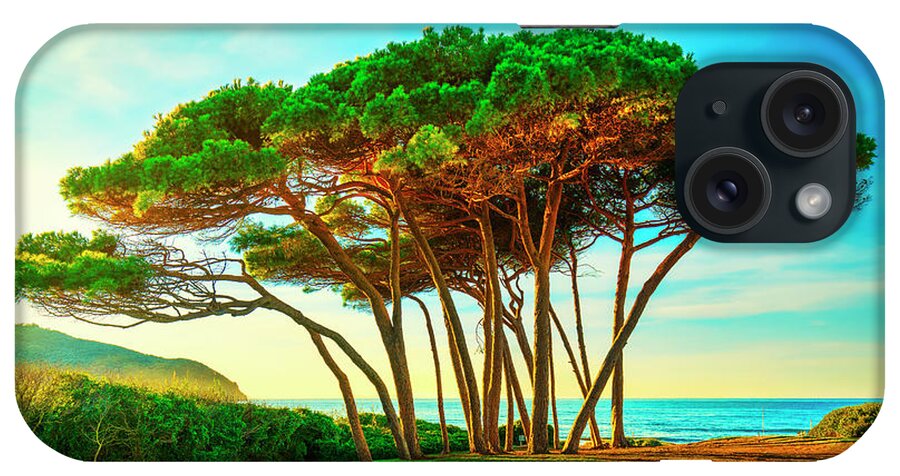 Baratti iPhone Case featuring the photograph Maritime Pine tree group near sea and beach. Baratti, Tuscany. #2 by Stefano Orazzini
