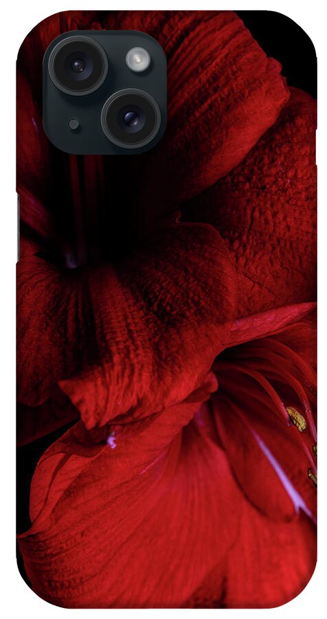 Red Amaryllis iPhone Case featuring the photograph Red Amaryllis #2 by Nailia Schwarz