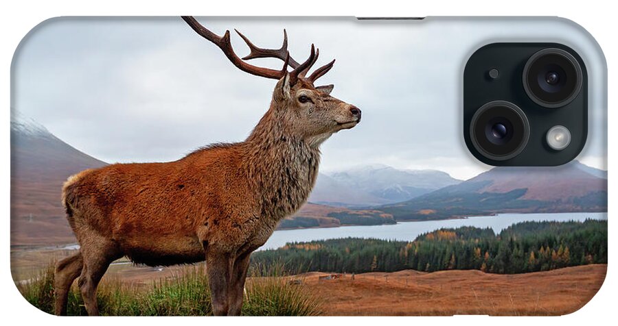 Deer iPhone Case featuring the photograph Scottish Red Deer Stag-Glencoe #2 by Grant Glendinning