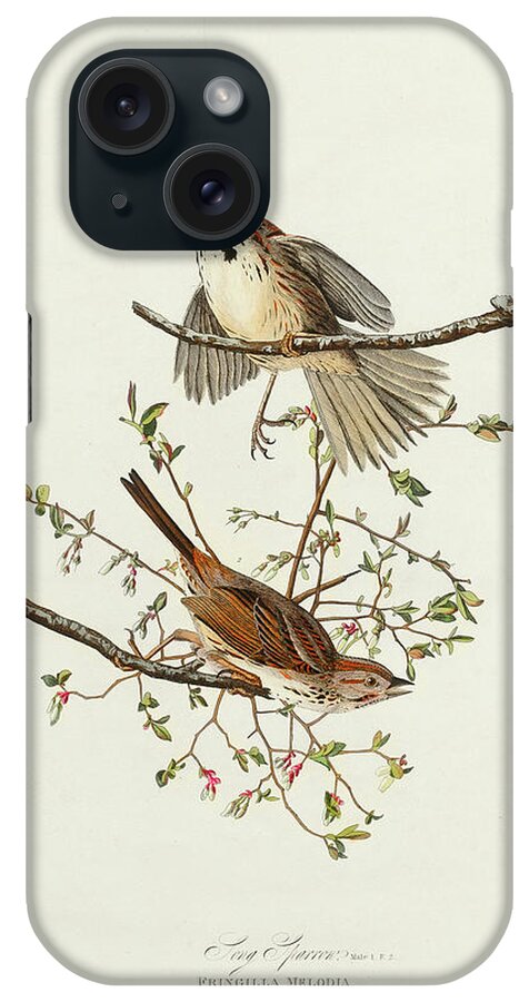 Audubon Birds iPhone Case featuring the drawing Song Sparrow #2 by John James Audubon
