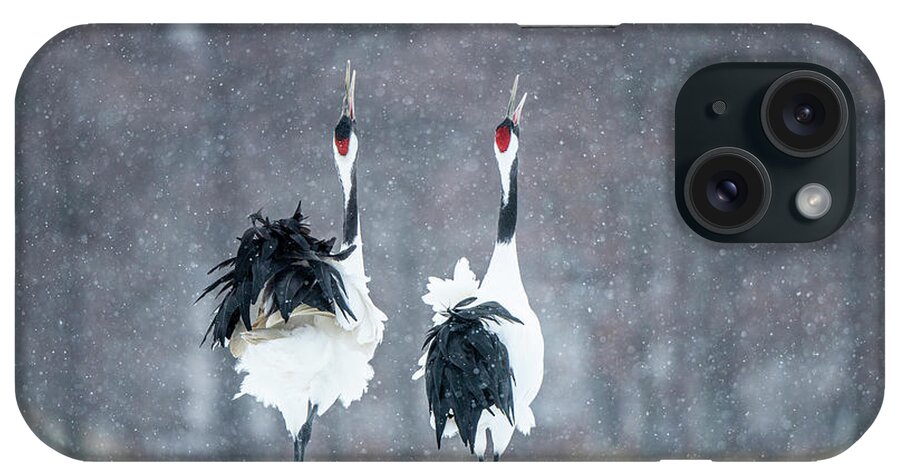 Snow iPhone Case featuring the photograph Tancho in snow #2 by Yoshiki Nakamura