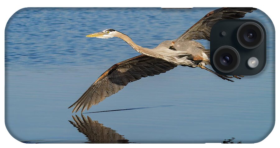 Great Blue Heron iPhone Case featuring the photograph Testing the Waters #1 by RD Allen