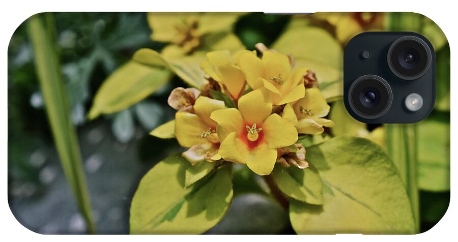 Flowers iPhone Case featuring the photograph 2020 Mid June Garden Container 1 by Janis Senungetuk