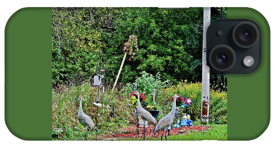 Sandhill Cranes iPhone Case featuring the photograph 2021 Fall Sandhill Cranes 1 by Janis Senungetuk