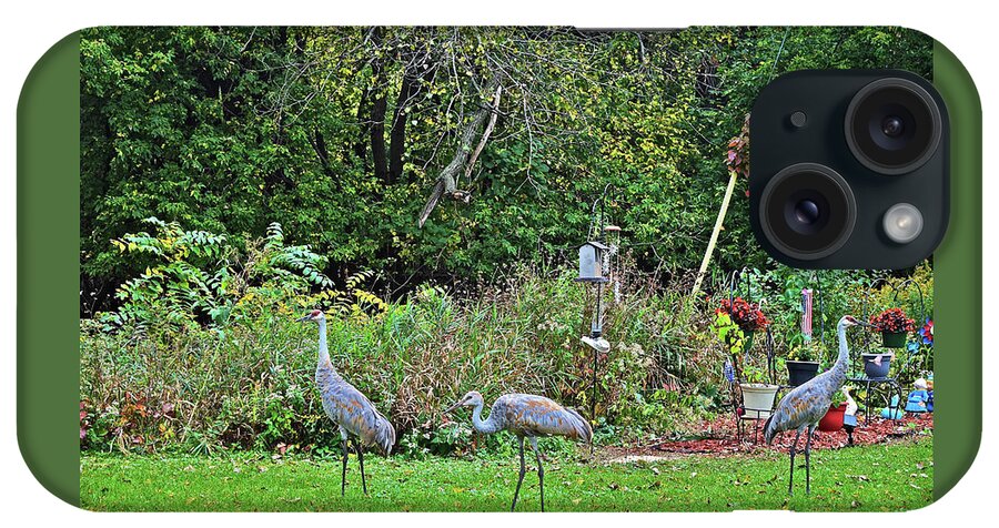 Sandhill Cranes iPhone Case featuring the photograph 2021 Fall Sandhill Cranes 3 by Janis Senungetuk