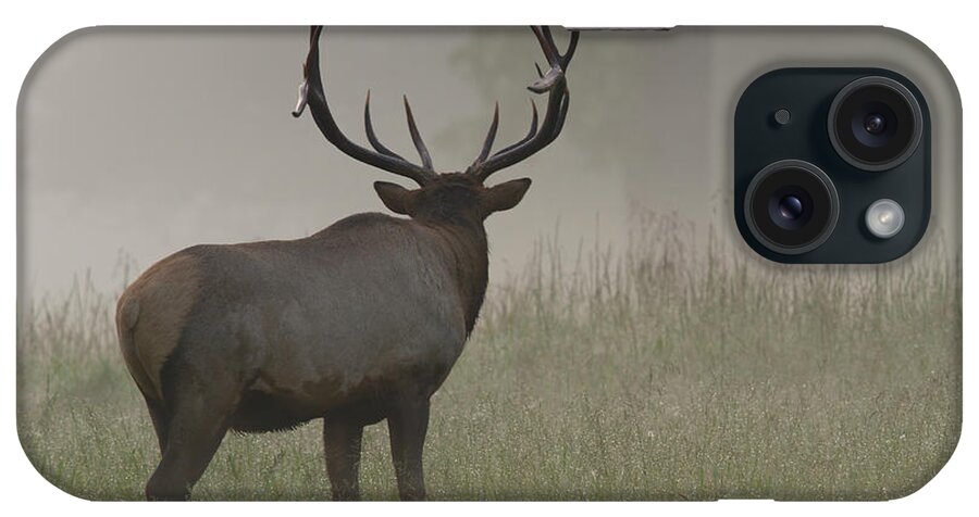 Elk iPhone Case featuring the photograph Bull Elk #1 by Doug McPherson