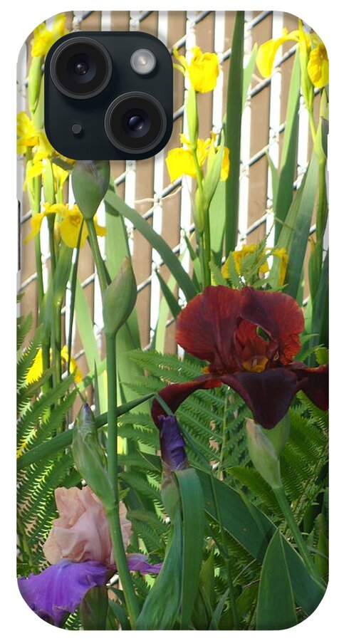Bearded Iris iPhone Case featuring the mixed media Bearded Iris #28 by Anthony Seeker
