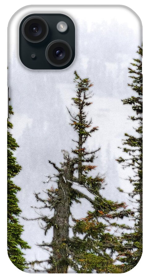 Washington State iPhone Case featuring the photograph 3 Amigos by Greg Reed