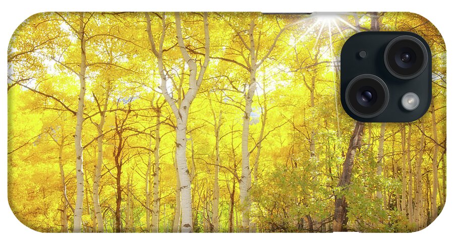 Aspens iPhone Case featuring the photograph Aspen Morning #3 by Darren White