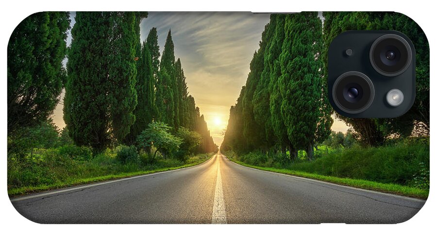 Bolgheri iPhone Case featuring the photograph Bolgheri Boulevard and the Sun by Stefano Orazzini