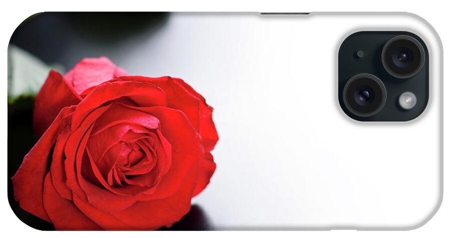 Roses iPhone Case featuring the photograph Red Rose on black and white background by Jelena Jovanovic