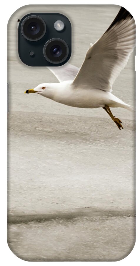Larus iPhone Case featuring the photograph Ring-billed Gull in flight #3 by SAURAVphoto Online Store