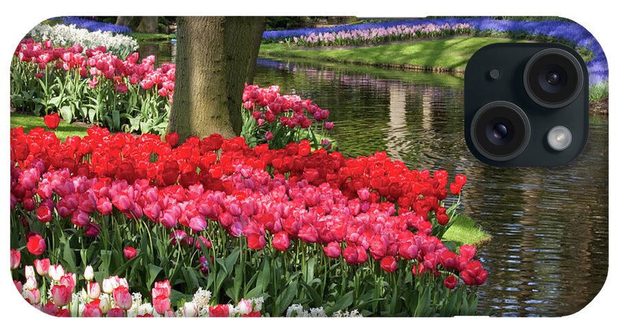 Keukenhof iPhone Case featuring the photograph Swathes of colour #3 by Shirley Mitchell
