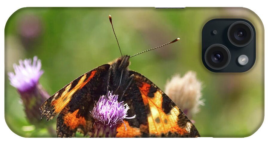Dove Stone Reservoir iPhone Case featuring the photograph Tortoiseshell Butterfly, taken at Dove Stone Reservoir #3 by Pics By Tony