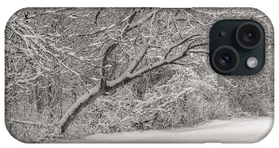 Winter iPhone Case featuring the photograph Trees in Winter's Snow #3 by Alan Goldberg