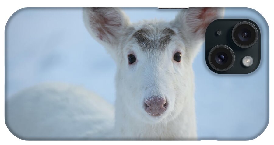 White iPhone Case featuring the photograph White Deer #31 by Brook Burling