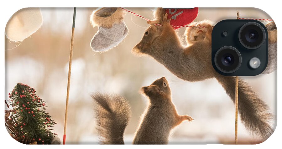 Red Squirrel iPhone Case featuring the photograph Squirrel, red squirrel, Sciurus vulgaris, Eurasian red squirrel, #36 by Geert Weggen
