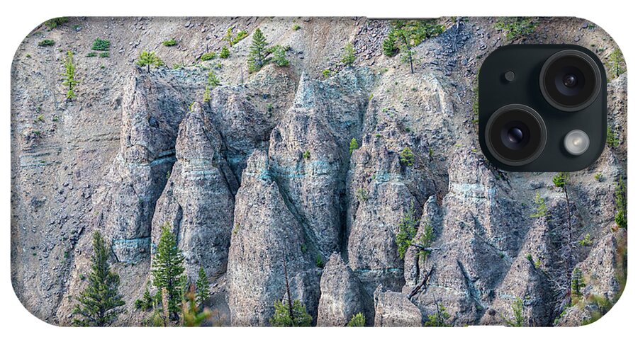 _yellowstone National Park iPhone Case featuring the photograph Eastside of Yellowstone #4 by Tommy Farnsworth