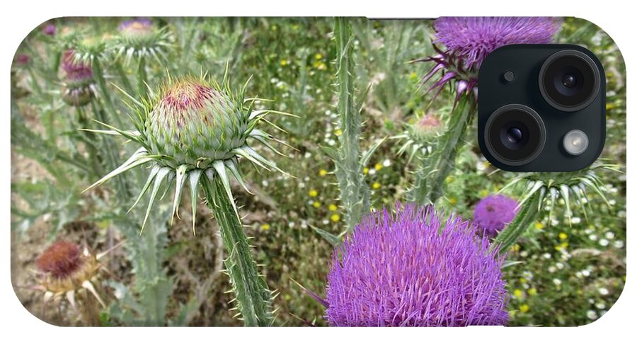 Path iPhone Case featuring the photograph Thistle flowers along our path near Valle de Abdalajis #2 by Chani Demuijlder