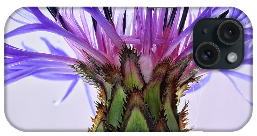 Floral iPhone Case featuring the photograph Bachelors Button by Shirley Mitchell