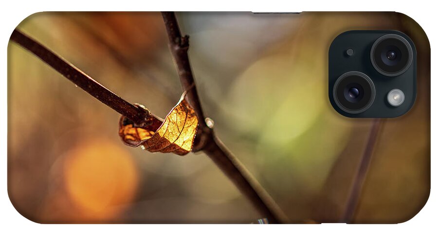 Landscape iPhone Case featuring the photograph Nature Photography - Fall Leaves #5 by Amelia Pearn