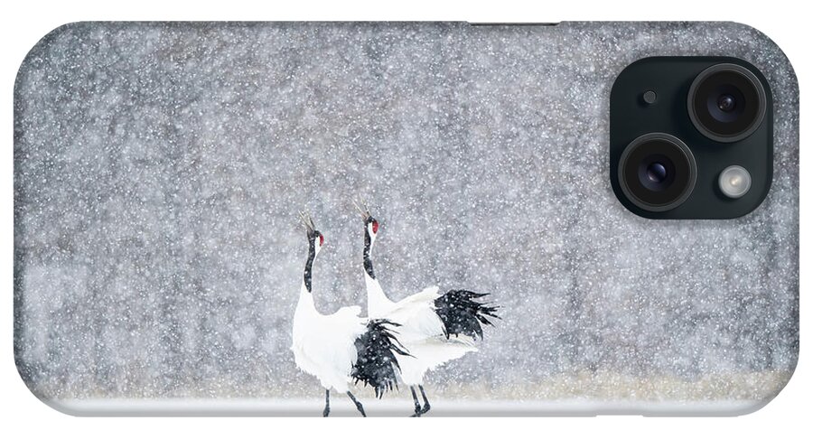 Snow iPhone Case featuring the photograph Tancho in snow #5 by Yoshiki Nakamura