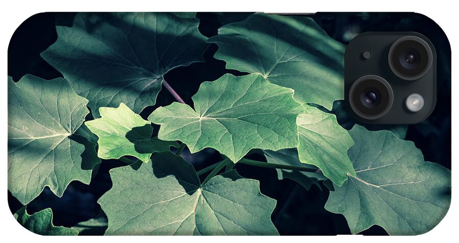 Decoration iPhone Case featuring the photograph Green plants in natural conditions #6 by Benoit Bruchez