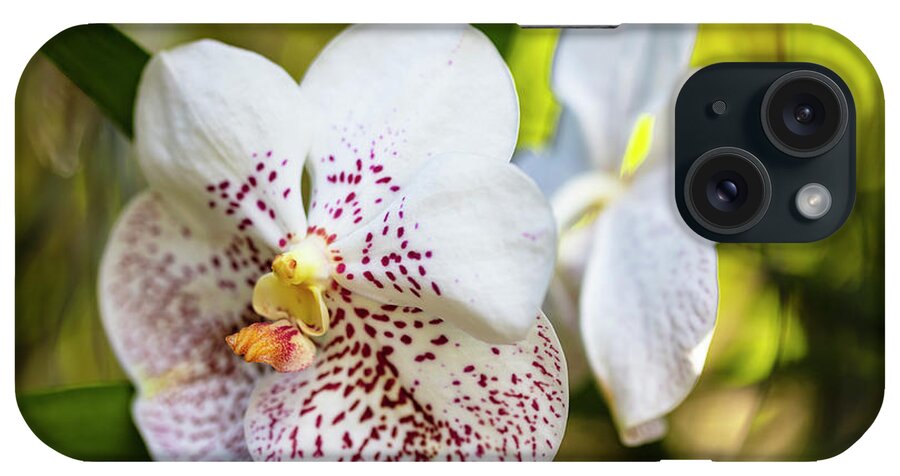 Background iPhone Case featuring the photograph Spotted Orchid Flower #6 by Raul Rodriguez