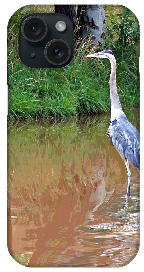 Bird iPhone Case featuring the photograph Blue Heron on the East Verde River by Matalyn Gardner