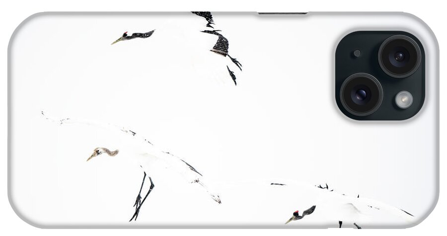 Snow iPhone Case featuring the photograph Tancho in snow #7 by Yoshiki Nakamura