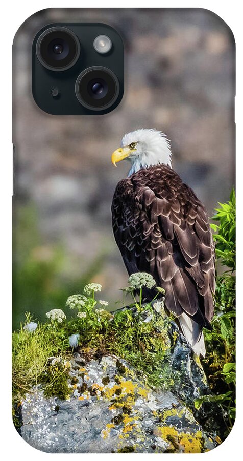 Eagle iPhone Case featuring the photograph Bald eagle sitting on the rock by Lyl Dil Creations