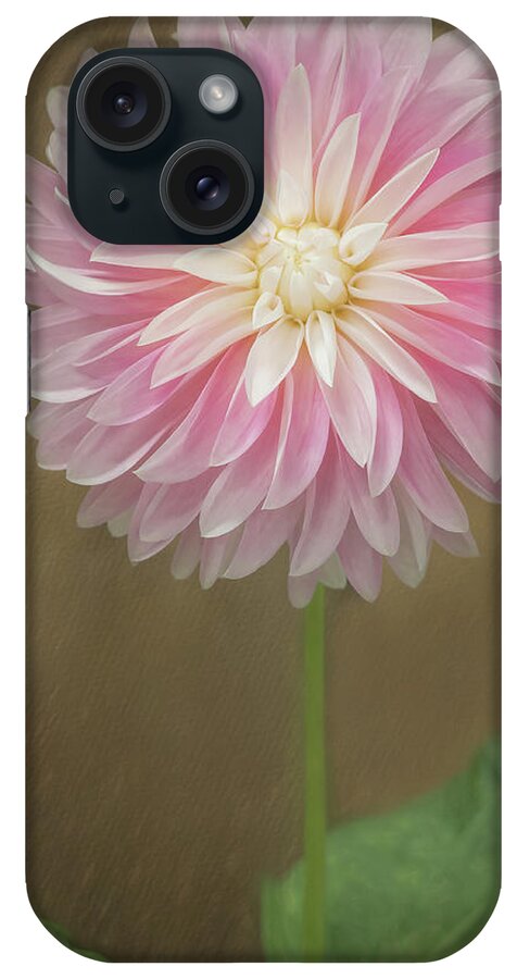 Pink iPhone Case featuring the photograph A Dainty Dahlia by Sylvia Goldkranz