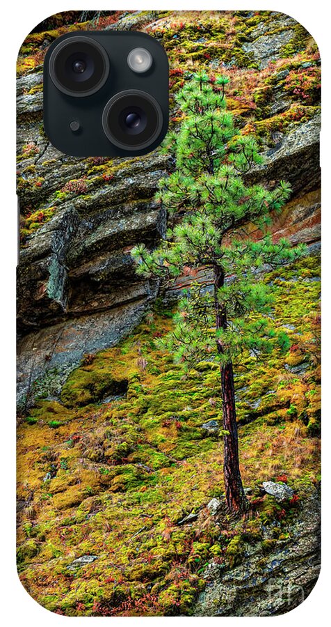 Landscape iPhone Case featuring the photograph A Firm Foundation by Pamela Dunn-Parrish