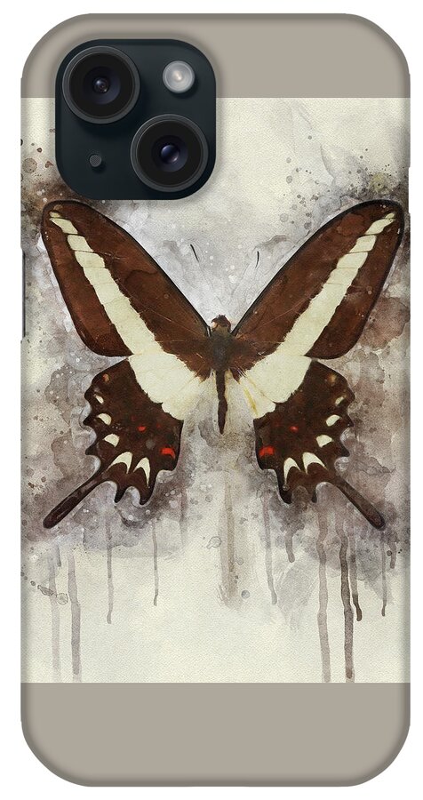 Butterfly iPhone Case featuring the photograph A Flutter of Color by Leda Robertson