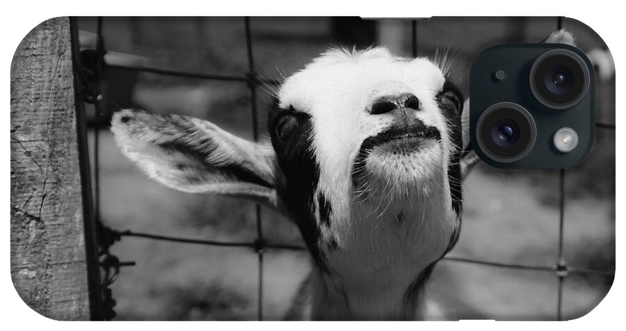 Goat iPhone Case featuring the photograph A Goat's Smile by Demetrai Johnson
