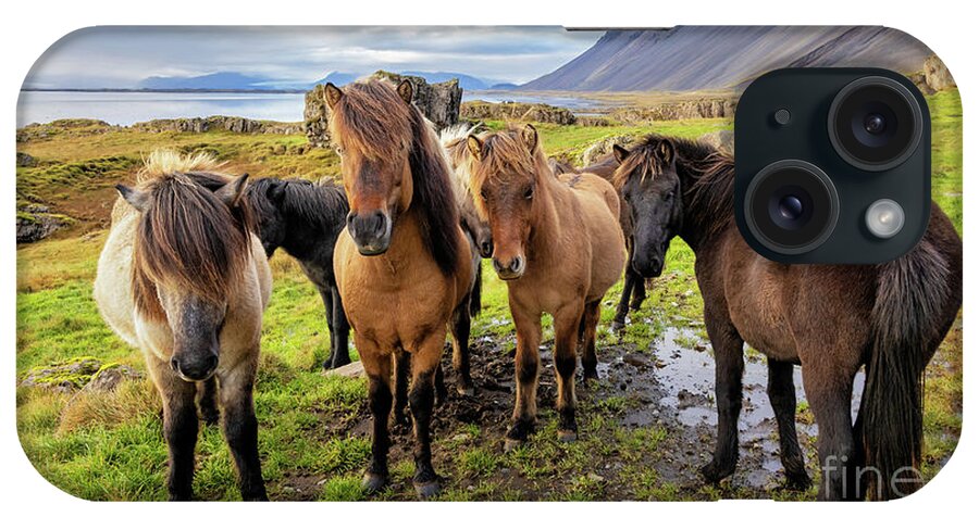 Horse iPhone Case featuring the photograph A group of Icelandic horses in a rural setting with sea and moun by Jane Rix